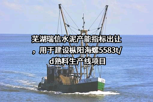 芜湖瑞信水泥有限公司