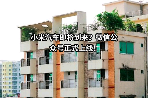 小米汽车有限公司
