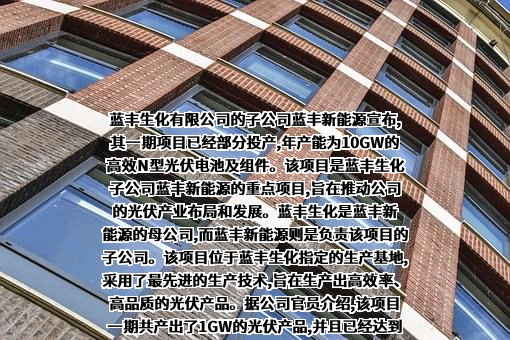 江苏蓝丰生物化工股份有限公司