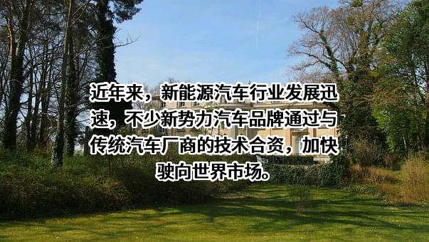 广州橙行智动汽车科技有限公司