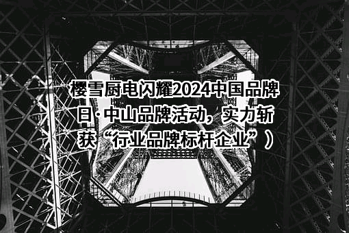 中山市樱雪集团有限公司