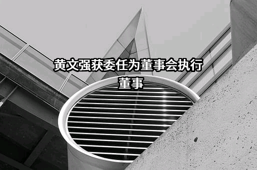 智美体育集团