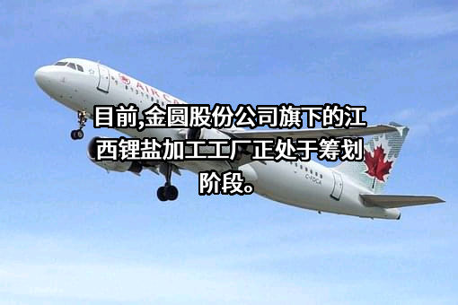 金圆环保股份有限公司