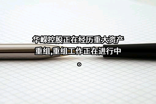 湖北华嵘控股股份有限公司
