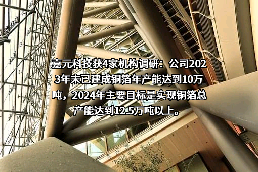 广东嘉元科技股份有限公司