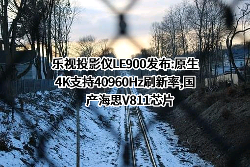 乐视控股（北京）有限公司