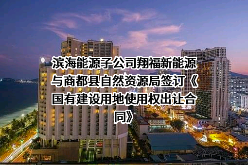 内蒙古翔福新能源有限责任公司