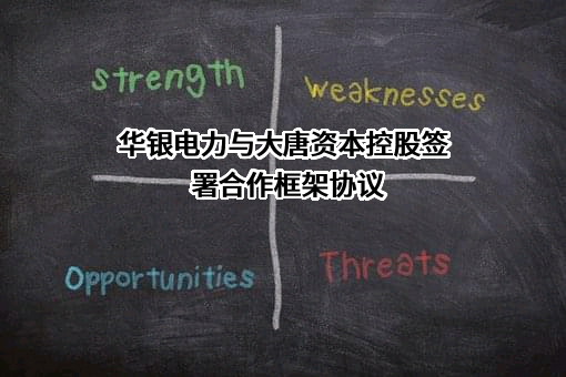 大唐华银电力股份有限公司