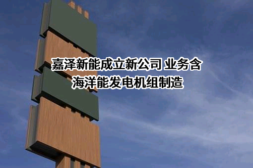 宁夏嘉泽新能源股份有限公司