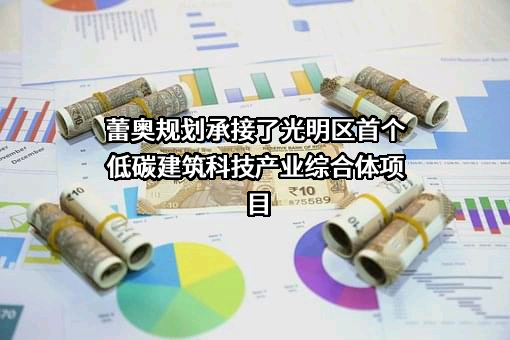 深圳市蕾奥规划设计咨询股份有限公司