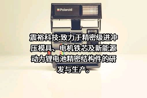 宁波震裕科技股份有限公司