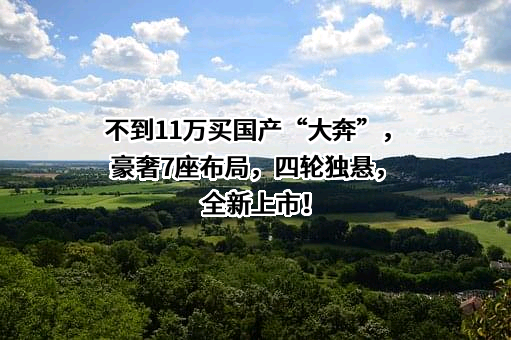 不到11万买国产“大奔”，豪奢7座布局，四轮独悬，全新上市！