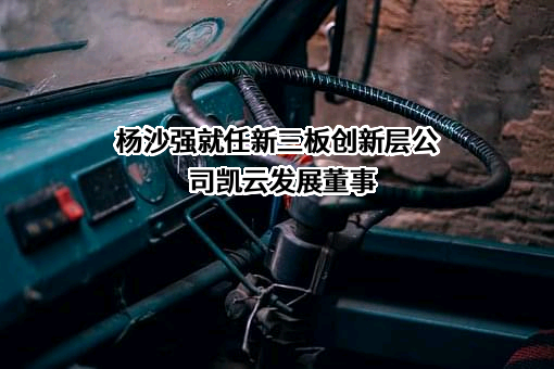 广州凯云发展股份有限公司