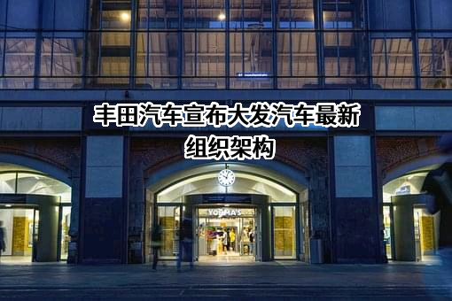 泰安市大发电动汽车制造有限公司