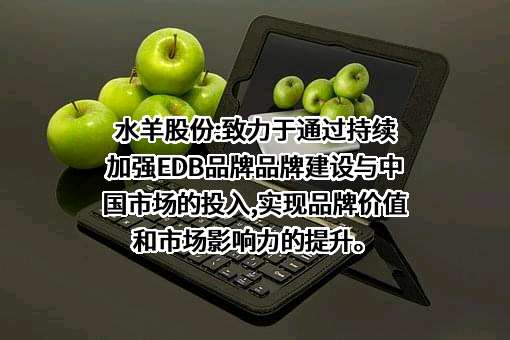 水羊集团股份有限公司