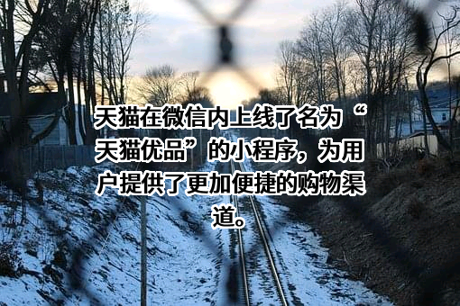 浙江天猫技术有限公司