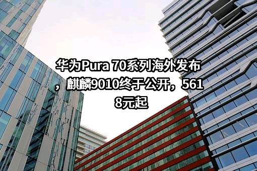 华为技术有限公司