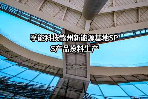 孚能科技（赣州）股份有限公司