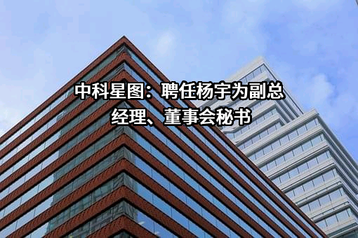 中科星图股份有限公司