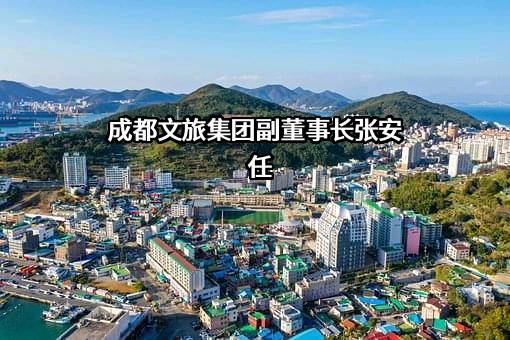 成都文化旅游发展集团有限责任公司