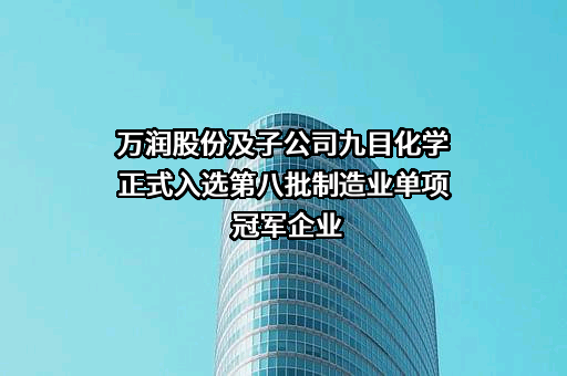 烟台九目化学股份有限公司