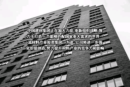 中国建材股份有限公司