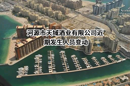 河源市天域酒业有限公司