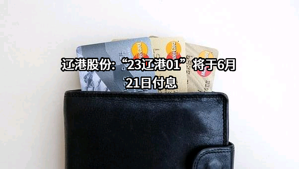 辽宁港口股份有限公司
