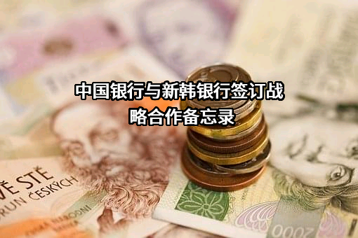 新韩银行（中国）有限公司