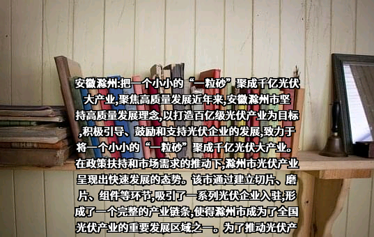隆基绿能科技股份有限公司