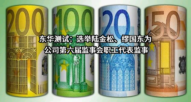 东华测试：选举陆金松、缪国东为公司第六届监事会职工代表监事