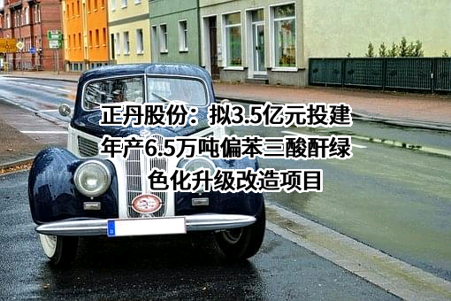 江苏正丹化学工业股份有限公司