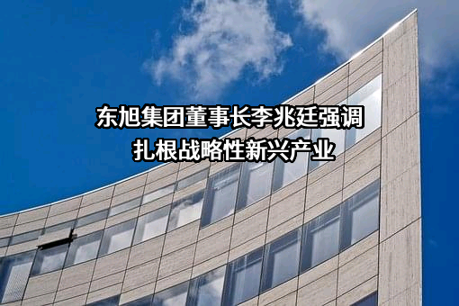 东旭集团有限公司