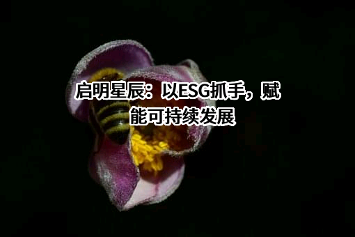 启明星辰信息技术集团股份有限公司