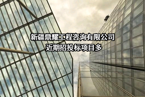 新疆鼎耀工程咨询有限公司