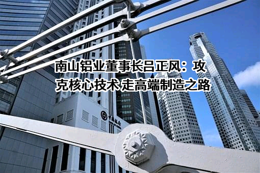 山东南山铝业股份有限公司