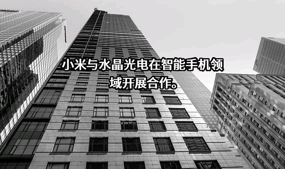 浙江水晶光电科技股份有限公司
