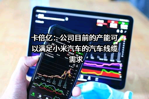 宁波卡倍亿电气技术股份有限公司