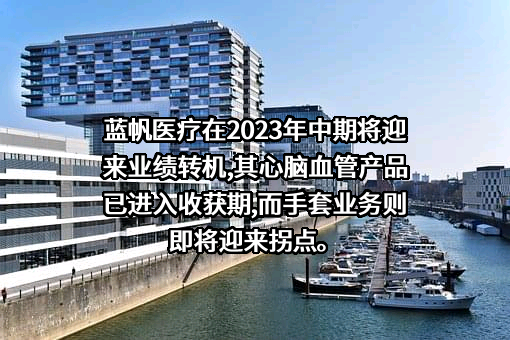 蓝帆医疗股份有限公司