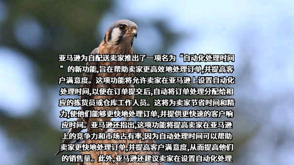 亚马逊（中国）投资有限公司