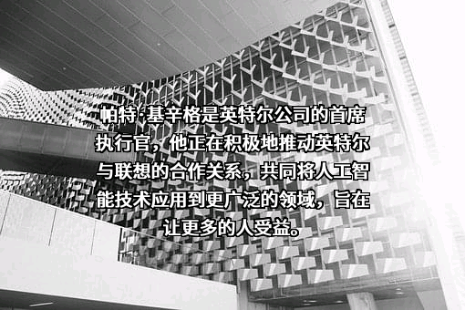 英特尔（中国）有限公司