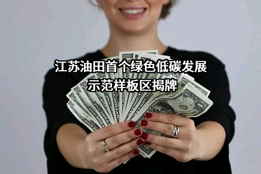 江苏油田矿业开发有限公司