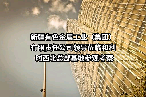 新疆有色金属工业（集团）有限责任公司