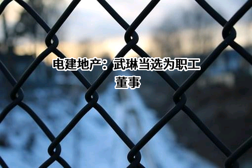 中国电建地产集团有限公司