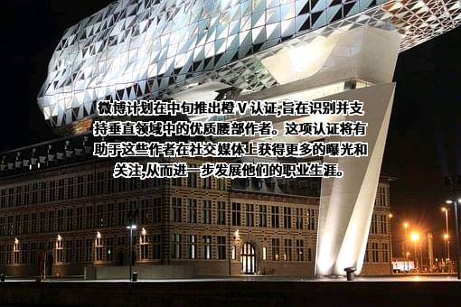 新浪网技术（中国）有限公司
