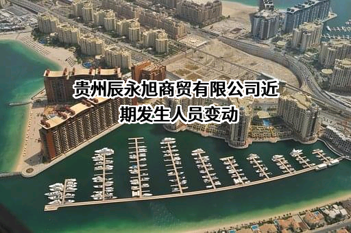 贵州辰永旭商贸有限公司