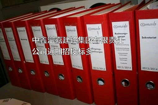 中鑫溢嘉建设集团有限责任公司