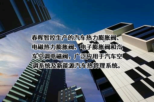 浙江春晖智能控制股份有限公司