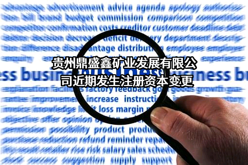 贵州鼎盛鑫矿业发展有限公司