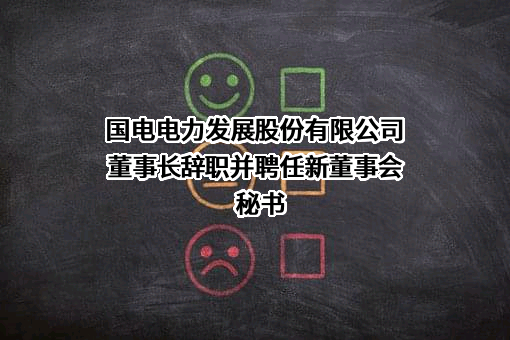 国电电力发展股份有限公司